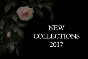 Discover the New Collections from Black Edition