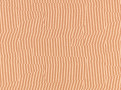 Vector Pink Apricot