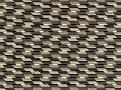 Strings Monochrome