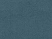 Plush Whistler Blue Image 2