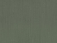 Eucalyptus