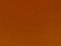 Burnt Orange