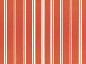 Tiva Russet