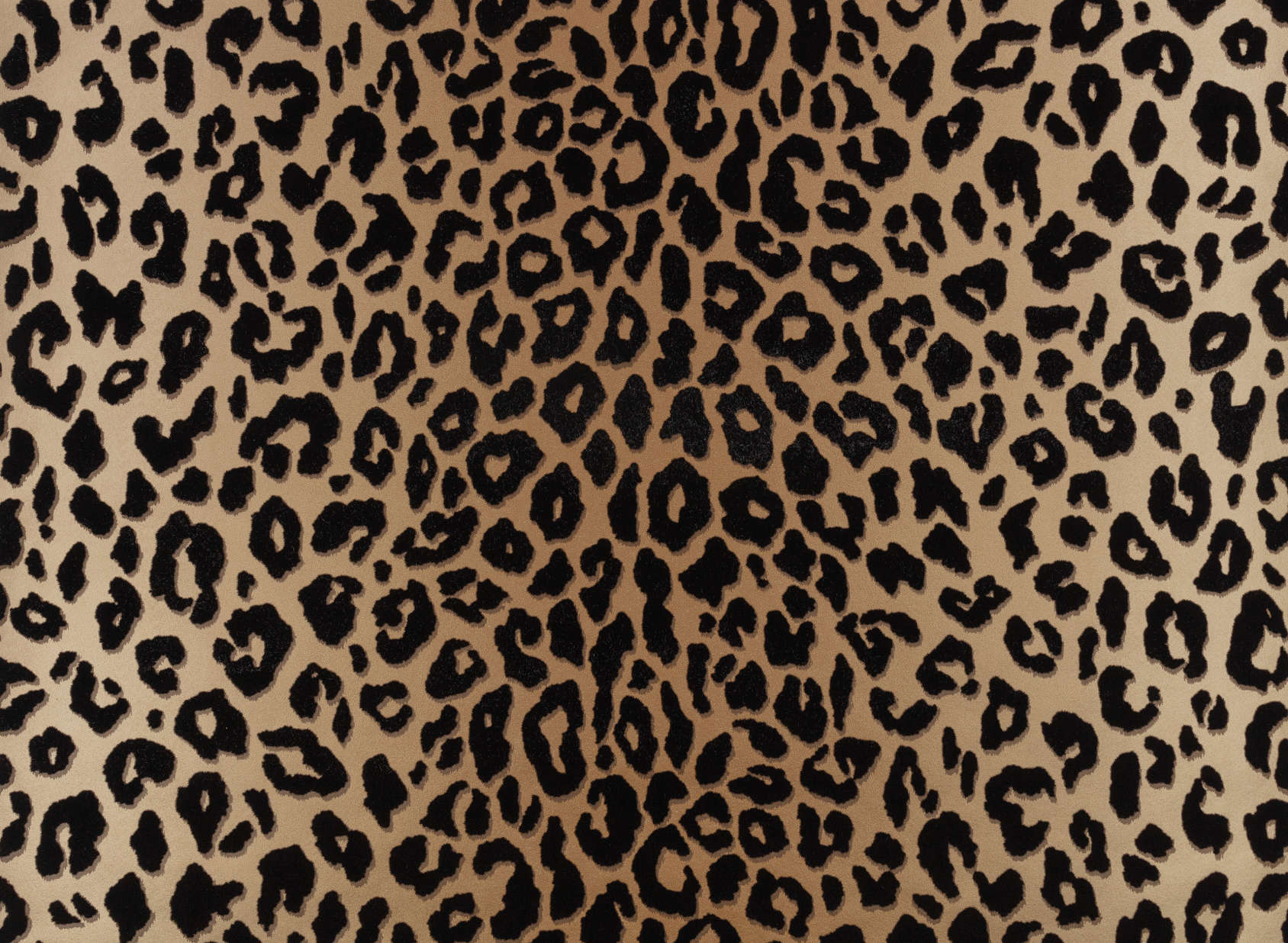 Mimi Wallcovering Tan | Temperley London x Romo - Wallcoverings | Romo ...