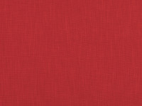 Red Tulip
