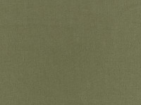 Tarragon