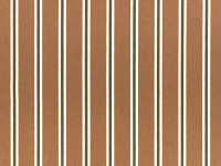 Cinnamon