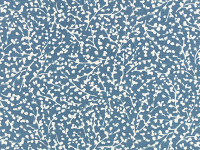 Buxton Blue