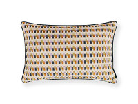 Javi 60cm x 40cm Cushion