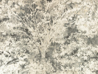 Charcoal