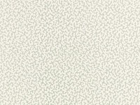 Mineral