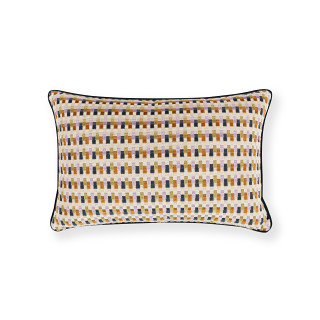 Javi 60cm x 40cm Cushion