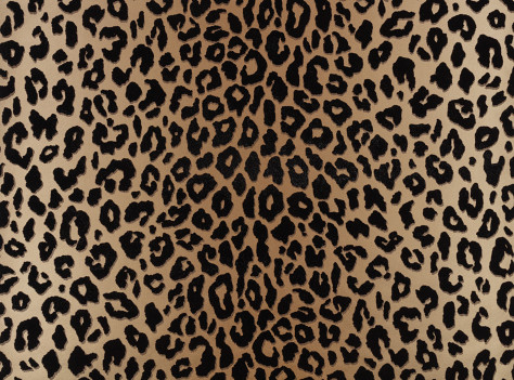 Mimi Wallcovering Tan | Temperley London x Romo - Wallcoverings | Romo ...