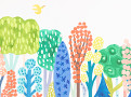 Rainbow Forest