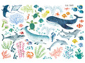 Coral Kingdom Wall Stickers