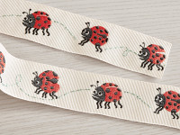 Ladybugs Braid