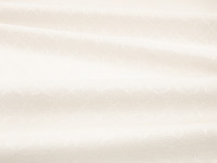 Twyford Ice Image 3
