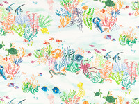 Coral Kingdom