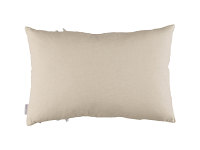 Brome Cushion Oasis Image 3