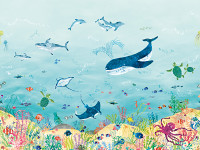 Coral Kingdom Wall Mural