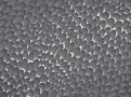 Gstaad Wallcovering Carbon