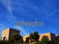 Introducing Salvador